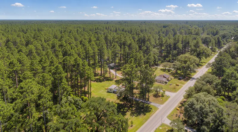 Aerial view of pine forest and rural homesites along a two-lane road, land clearing in East Texas, Texas